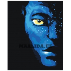 Maalid numbrite järgi Z-NA116