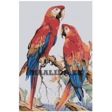 Maalid numbrite järgi Z-NA123