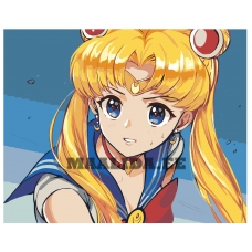 Maalid numbrite järgi Z-NA133