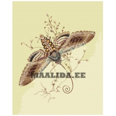 Maalid numbrite järgi Z-NA166