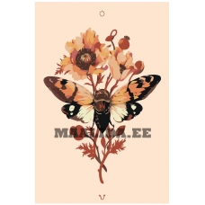 Maalid numbrite järgi Z-NA168