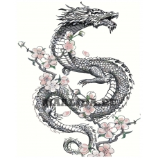 Maalid numbrite järgi Z-NA172