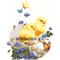 Maalid numbrite järgi Z-NA174