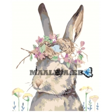 Maalid numbrite järgi Z-NA177