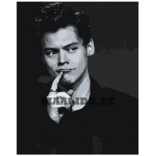 Maalid numbrite järgi Z-NA197