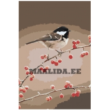 Maalid numbrite järgi Z-NA19