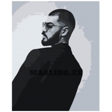 Maalid numbrite järgi Z-NA201