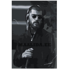 Maalid numbrite järgi Z-NA202