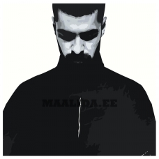 Maalid numbrite järgi Z-NA203