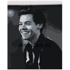 Maalid numbrite järgi Z-NA205