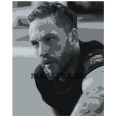 Maalid numbrite järgi Z-NA209