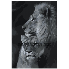 Maalid numbrite järgi Z-NA20