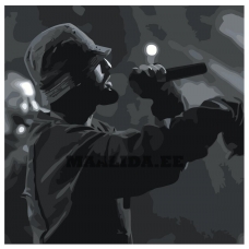 Maalid numbrite järgi Z-NA210