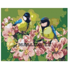 Maalid numbrite järgi Z-NA211