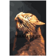 Maalid numbrite järgi Z-NA21