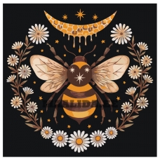 Maalid numbrite järgi Z-NA25