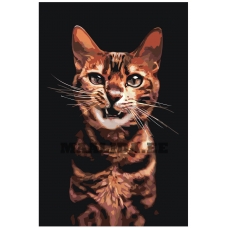 Maalid numbrite järgi Z-NA28