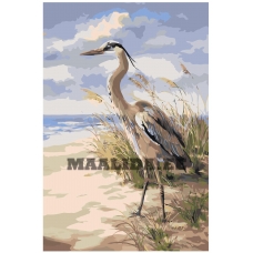 Maalid numbrite järgi Z-NA29