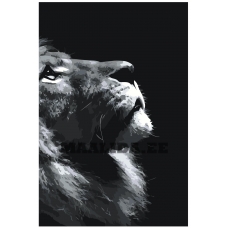 Maalid numbrite järgi Z-NA30