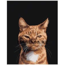 Maalid numbrite järgi Z-NA33