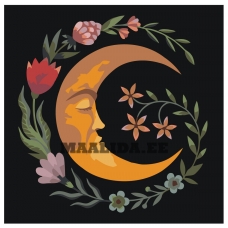 Maalid numbrite järgi Z-NA36