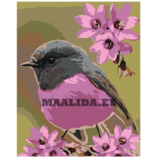 Maalid numbrite järgi Z-NA38