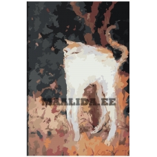 Maalid numbrite järgi Z-NA47