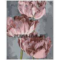 Maalid numbrite järgi "Väga värvid" Z-NA48