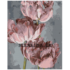 Maalid numbrite järgi "Väga värvid" Z-NA48