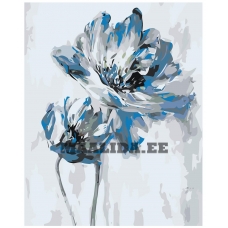 Maalid numbrite järgi Z-NA49