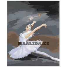 Maalid numbrite järgi Z-NA51