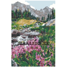 Maalid numbrite järgi Z-NA53