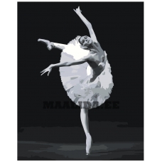 Maalid numbrite järgi Z-NA56