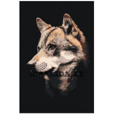 Maalid numbrite järgi Z-NA58