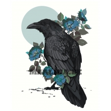 Maalid numbrite järgi Z-NA61