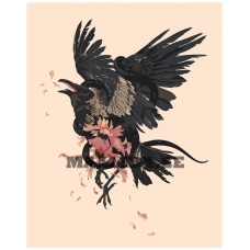 Maalid numbrite järgi Z-NA62