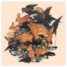 Maalid numbrite järgi Z-NA65