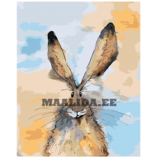 Maalid numbrite järgi Z-NA68