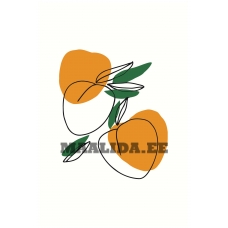 Maalid numbrite järgi Z-NA6