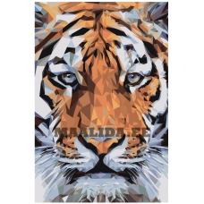 Maalid numbrite järgi Z-NA70