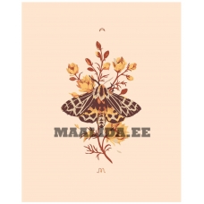 Maalid numbrite järgi Z-NA77