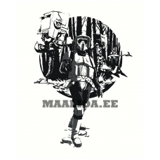 Maalid numbrite järgi Z-NA88