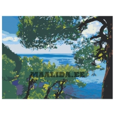 Maalid numbrite järgi Z-Z1011391