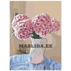 Maalid numbrite järgi Z-Z1011513