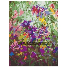 Maalid numbrite järgi Z-Z10126