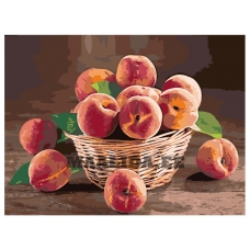 Maalid numbrite järgi Z-Z101958