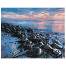 Maalid numbrite järgi Z-Z284