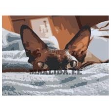 Maalid numbrite järgi Z-Z34902