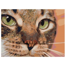 Maalid numbrite järgi Z-Z3579