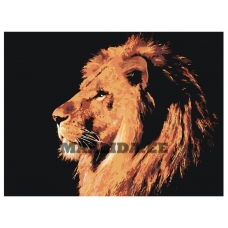 Maalid numbrite järgi Z-Z4020